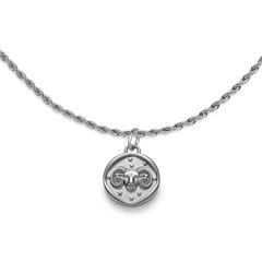 🦚 Gravierbare Edelstahlkette mit Sternzeichen Widder