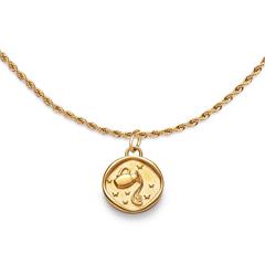 🦚 Gravurkette Sternzeichen Wassermann aus Edelstahl, gold