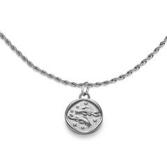 🦚 Gravurkette Sternzeichen Fische, Marinium Ocean Steel