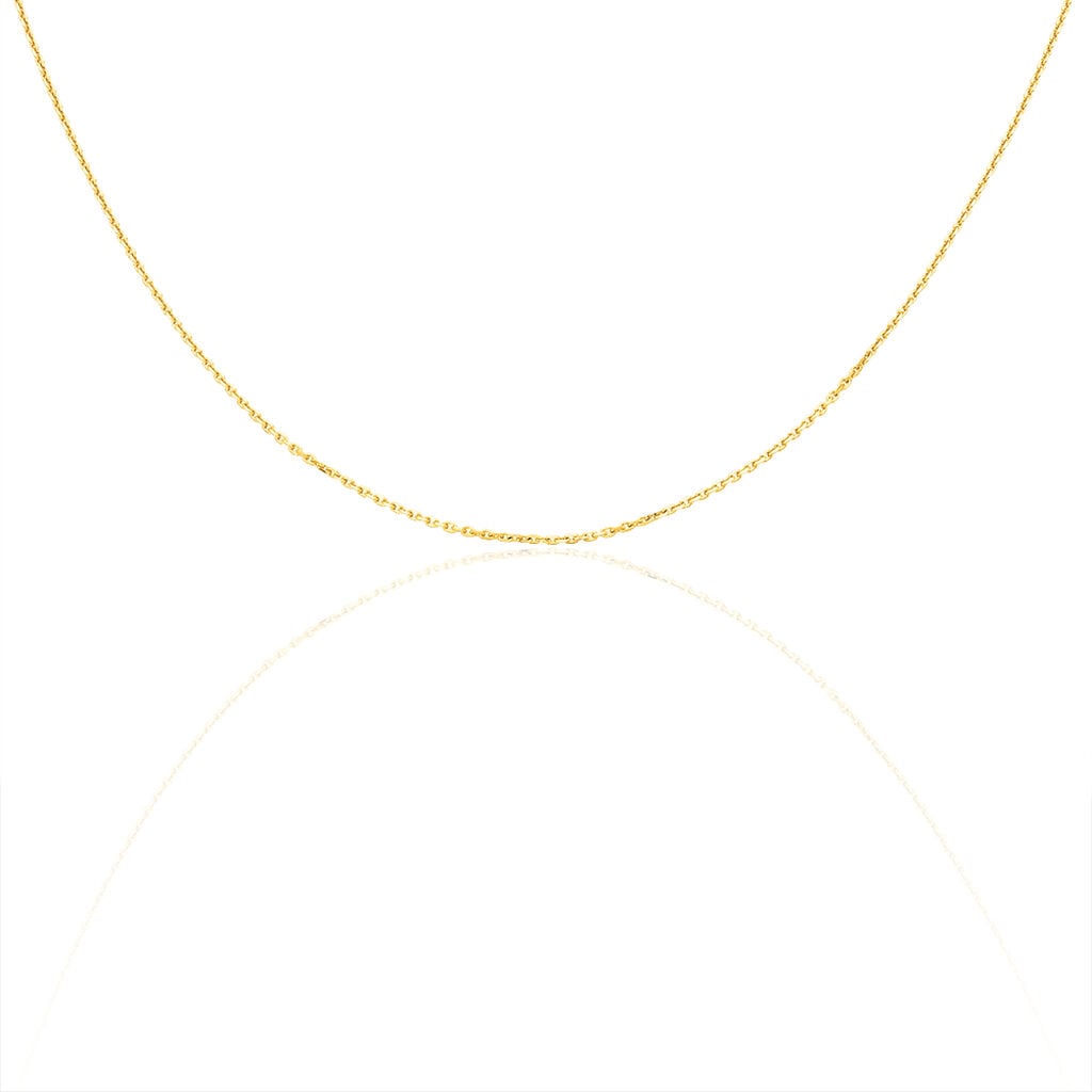 🦚 Damen Ankerkette Gold 585 Diamantiert , Kette ohne Stein