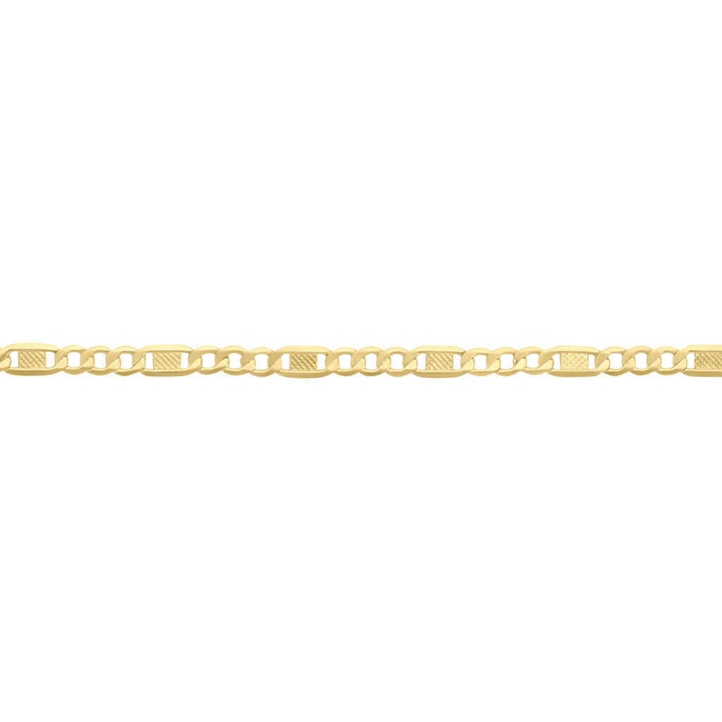🦚 Unisex Figarokette Gold 375 , Kette ohne Stein