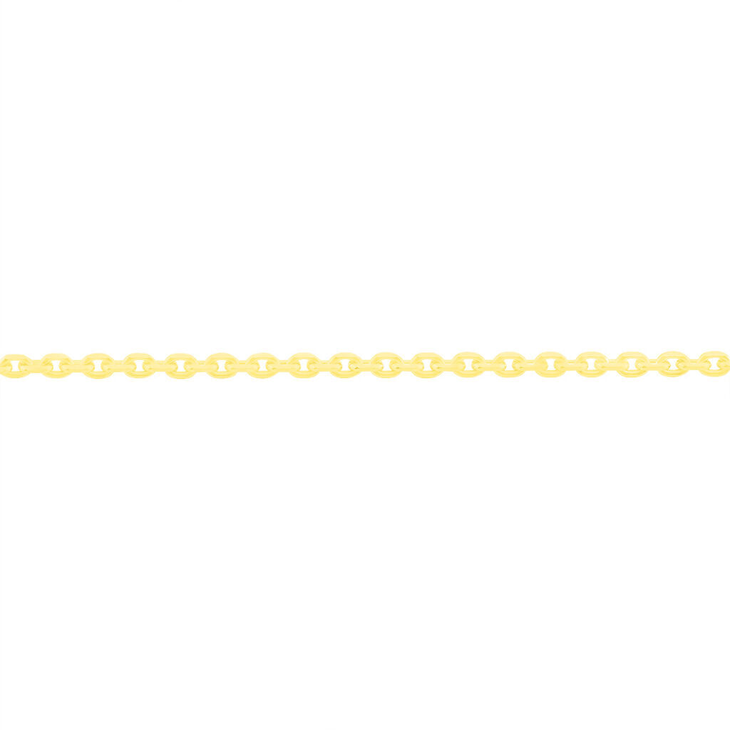 🦚 Unisex Ankerkette Gold 375 Diamantiert , Kette ohne Stein