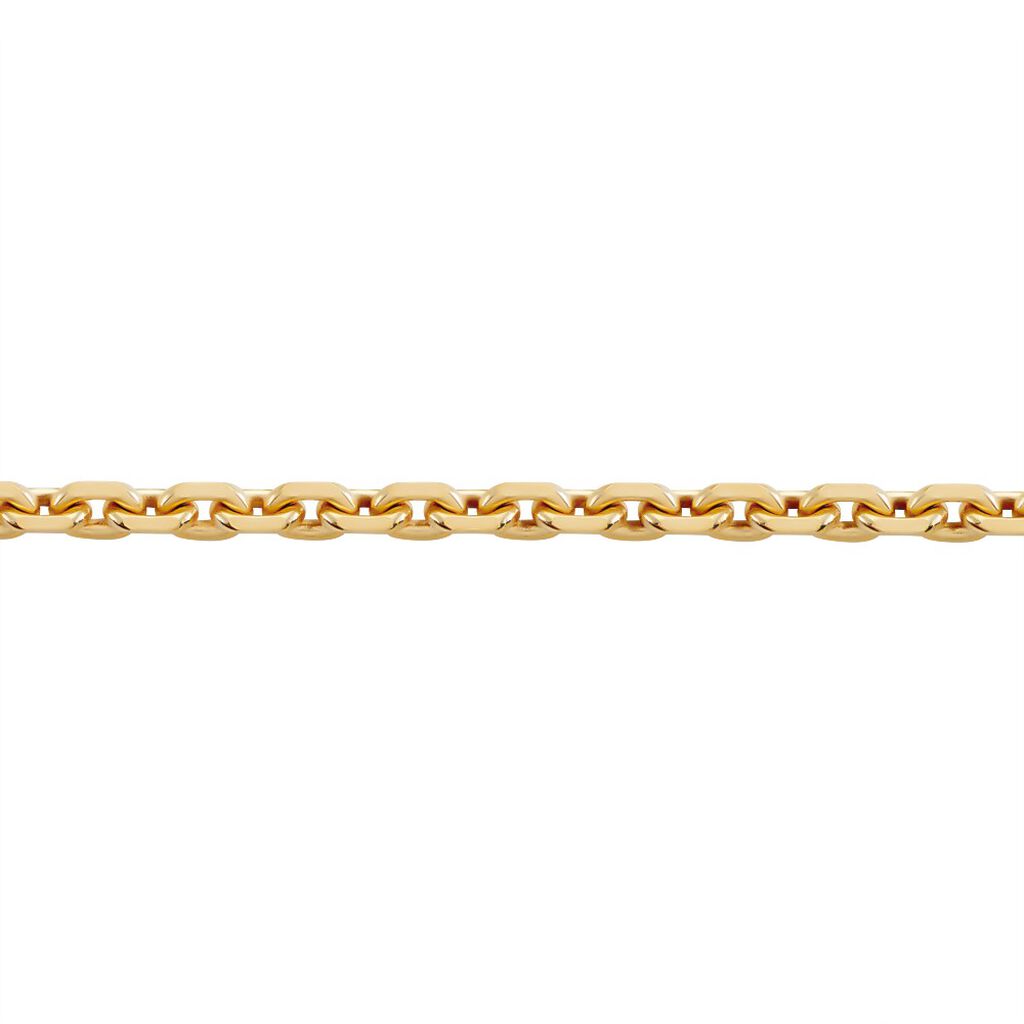 🦚 Damen Ankerkette Gold 375 Diamantiert , Kette ohne Stein