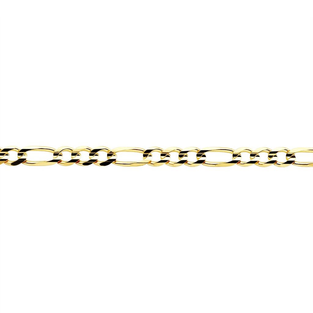 🦚 Unisex Figarokette Gold 375 , Kette ohne Stein