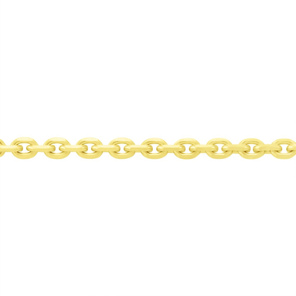 🦚 Unisex Ankerkette Gold 375 Diamantiert , Kette ohne Stein
