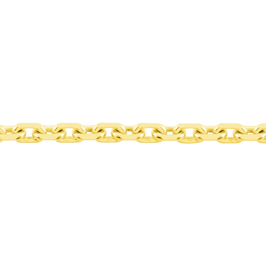 🦚 Kinder Ankerkette Gold 333 Diamantiert 34m, Kette ohne Stein