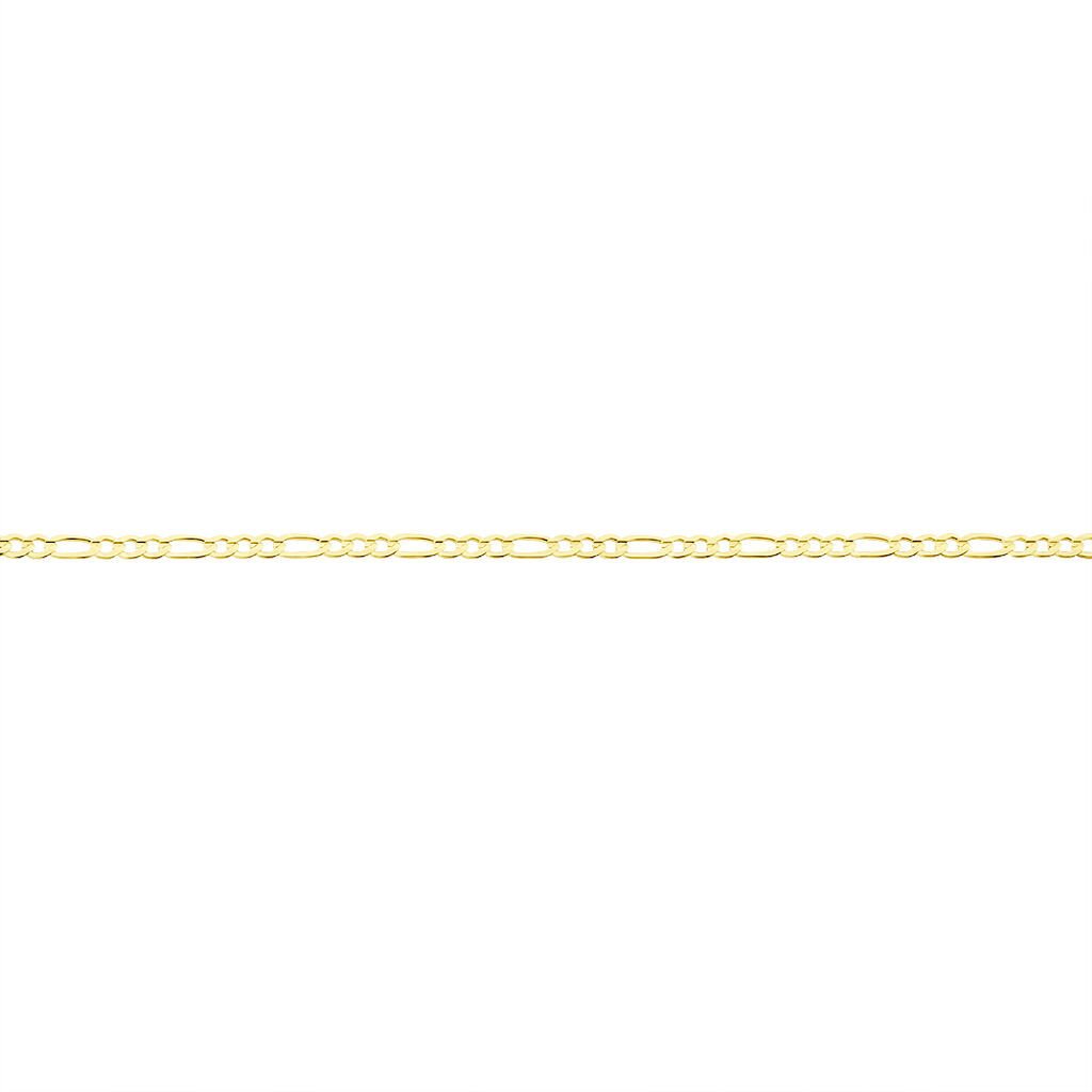🦚 Unisex Figarokette Gold 375 , Kette ohne Stein