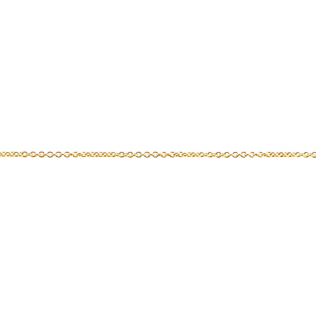 🦚 Unisex Ankerkette Gold 375 , Kette ohne Stein