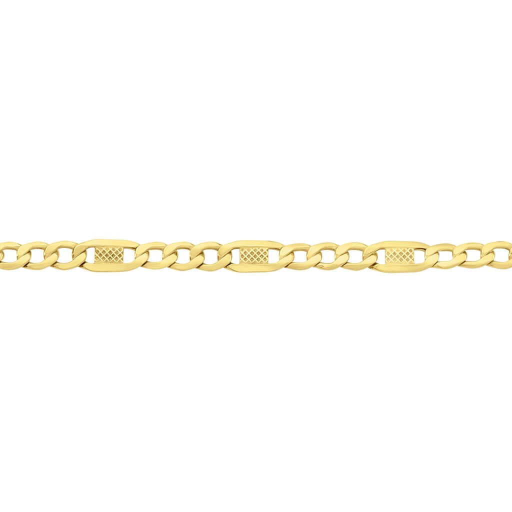🦚 Unisex Figarokette Gold 375 , Kette ohne Stein