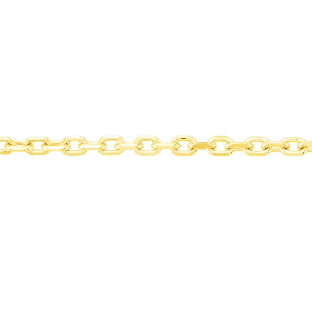 🦚 Unisex Ankerkette Gold 375 Diamantiert , Kette ohne Stein