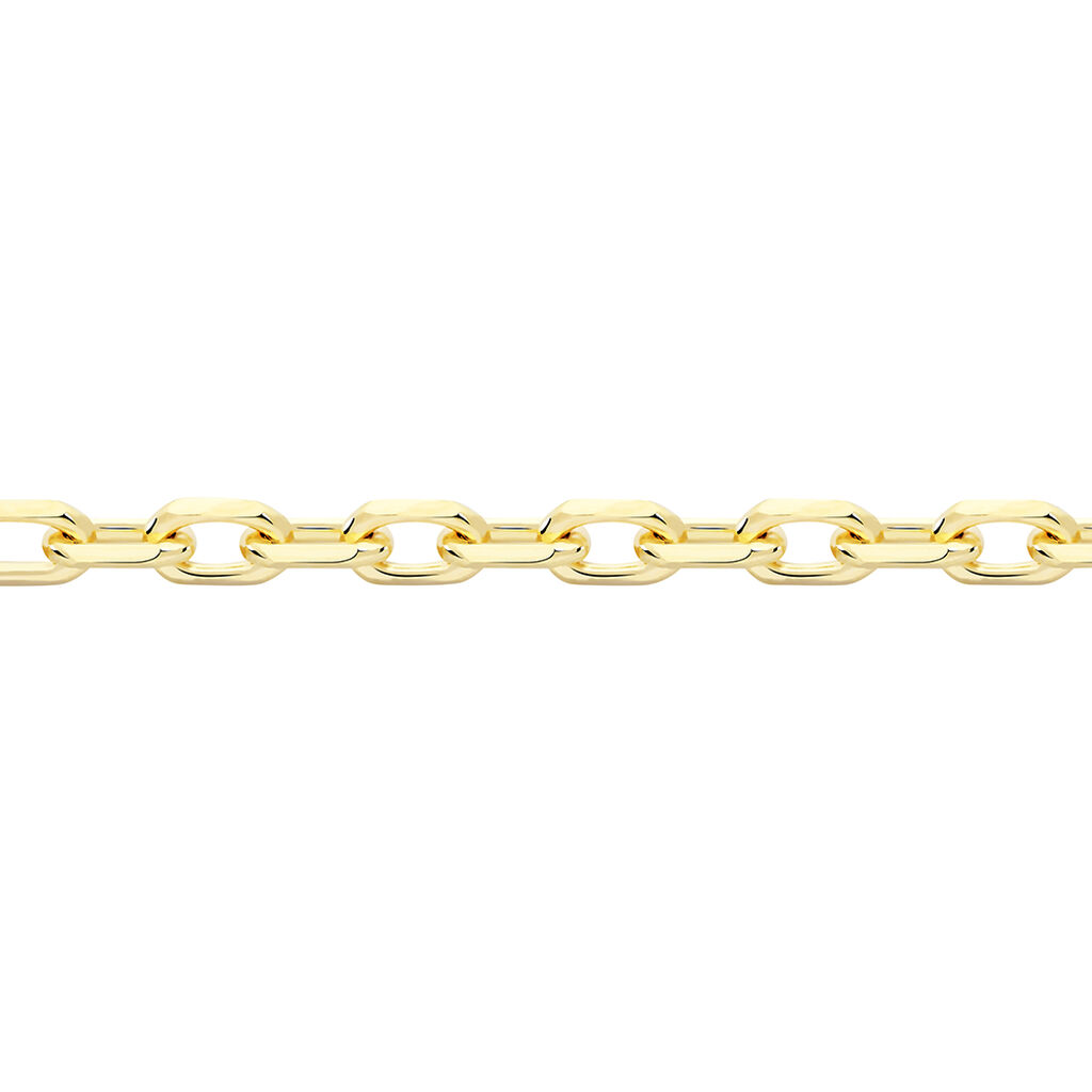 🦚 Damen Ankerkette Gold 375 Diamantiert , Kette ohne Stein