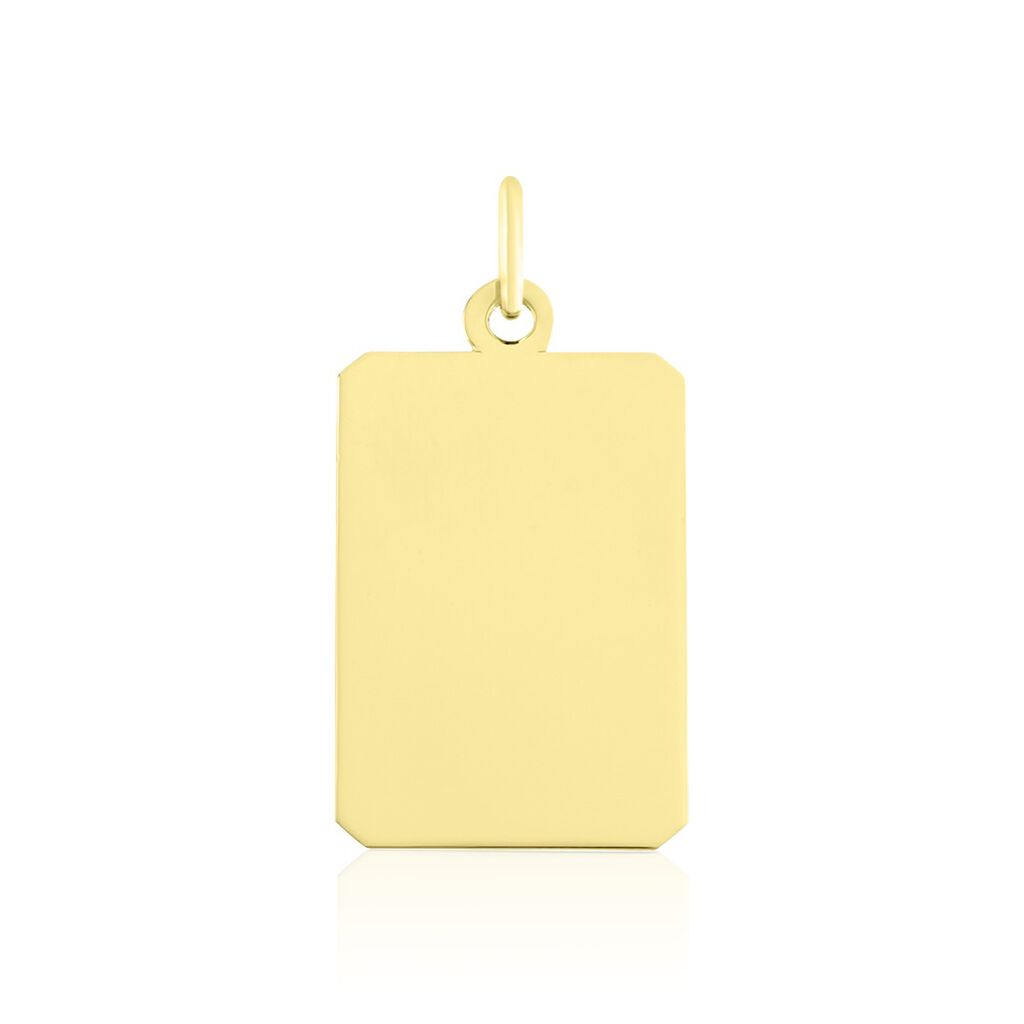 🦚 Kettenanhänger mit Gravur Gold 375 Sirona, Anhänger ohne Stein