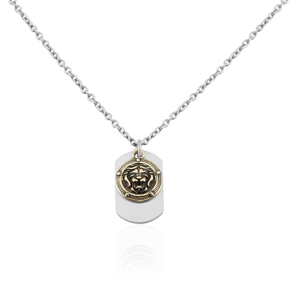 🦚 Herren Halskette Edelstahl Bicolor Dog Tag, Collier ohne Stein