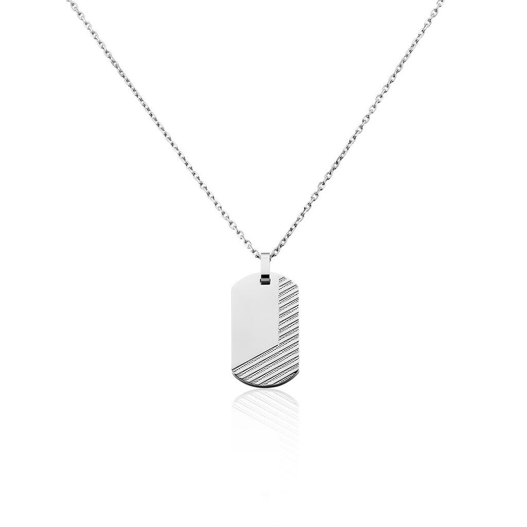 🦚 Herren Halskette Edelstahl Dog Tag , Kette ohne Stein