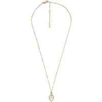 Fossil Collier JF04248710