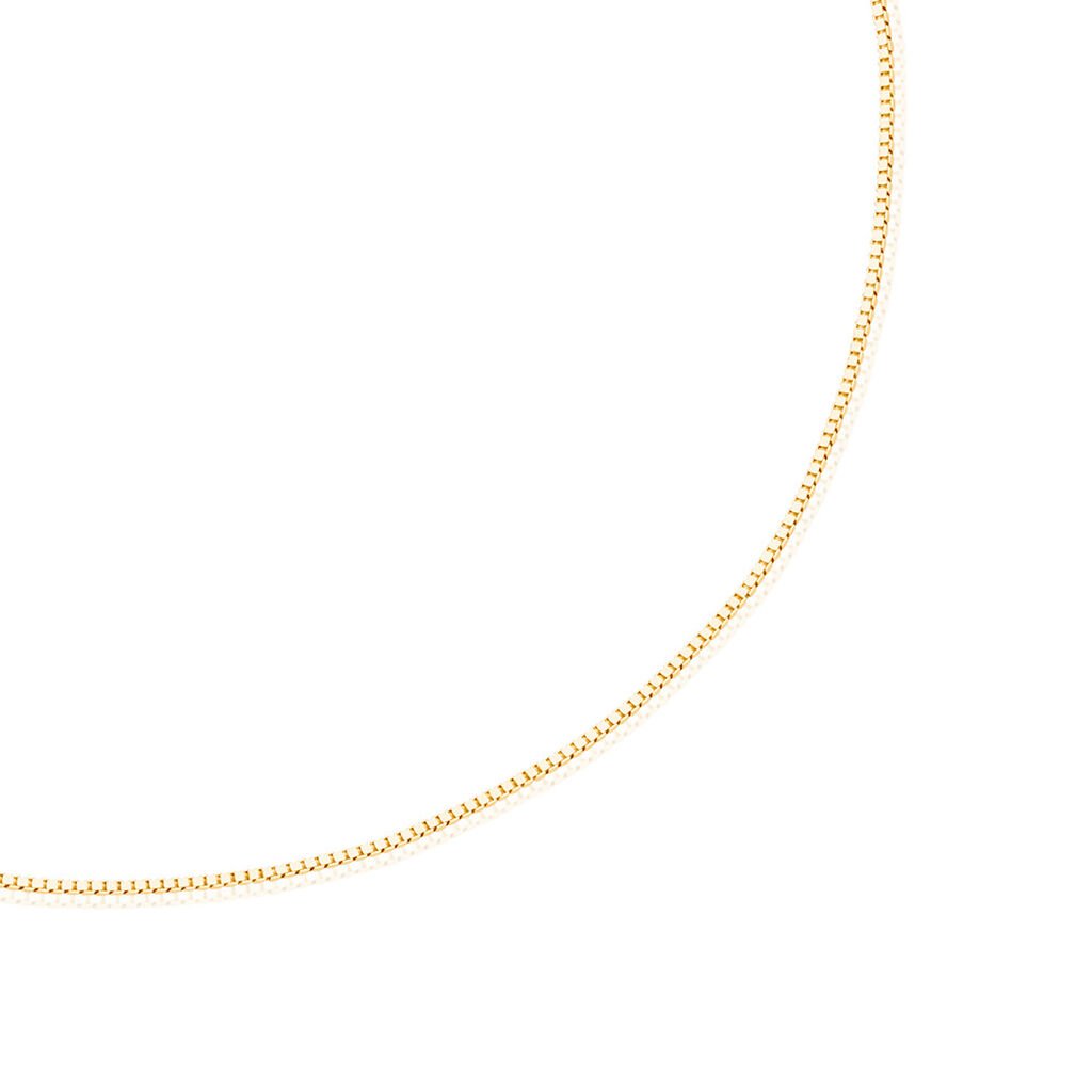 🦚 Unisex Kette Gold 585 4,5cm, Kette ohne Stein