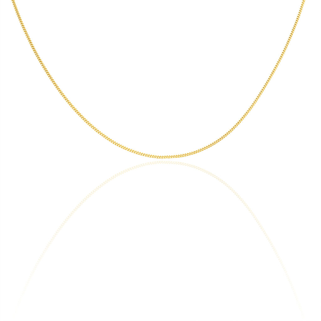 🦚 PANZER Herren Kette Gold 585 (14 Karat) B 1,5 mm, Kette ohne Stein