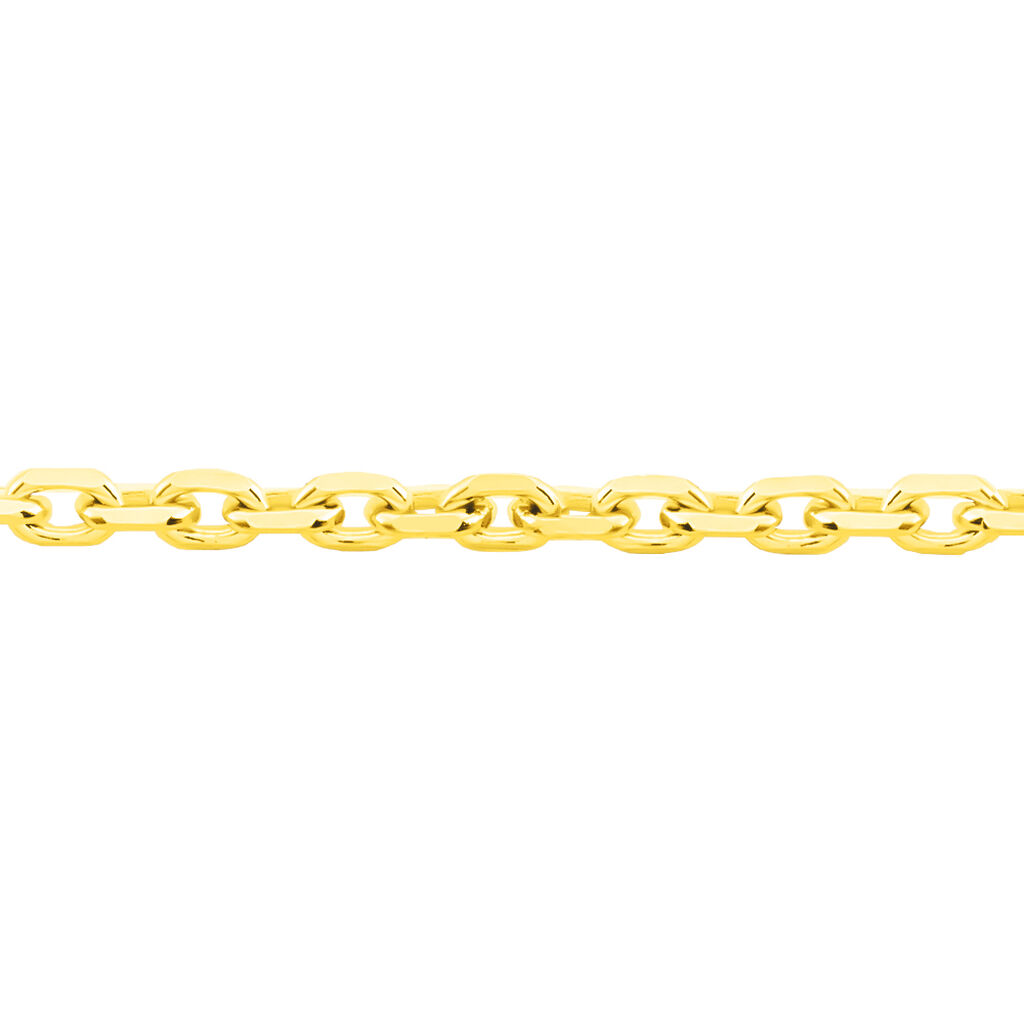 🦚 ANKER Unisex Kette Gold 585 (14 Karat) B 1,3 mm, Kette ohne Stein