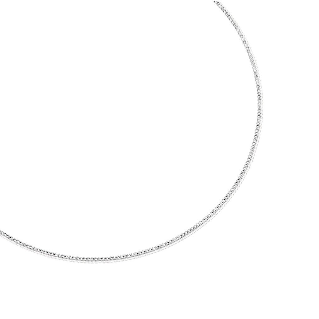 🦚 Unisex Kette Weißgold 585 (14 Karat) B 1,4 mm, Kette ohne Stein