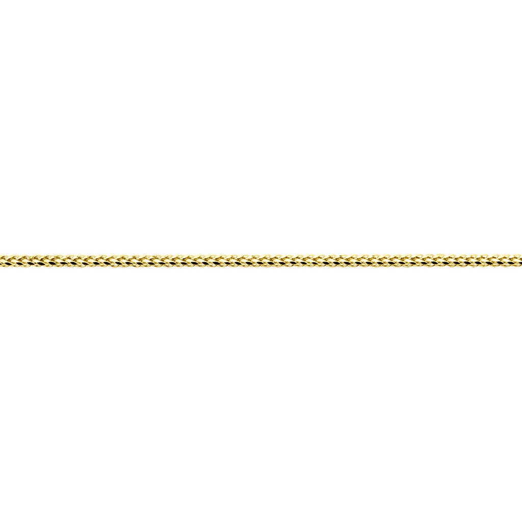 🦚 Unisex Kette Gold 585 (14 Karat) B 2 mm, Kette ohne Stein