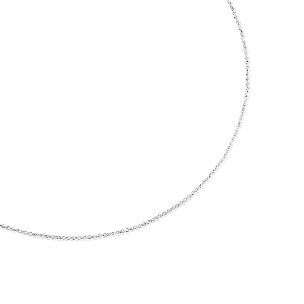 🦚 Unisex Kette Weißgold 585 (14 Karat), Kette ohne Stein