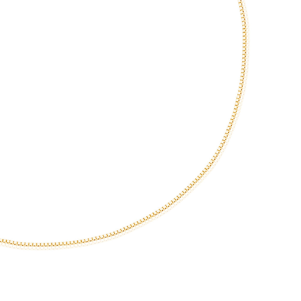 🦚 Unisex Kette Gold 585 4,5cm, Kette ohne Stein
