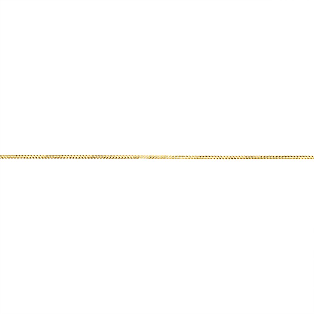 🦚 PANZER 2 Damen Kette Gold 375 (9 Karat) B 1,4 mm, Kette ohne Stein