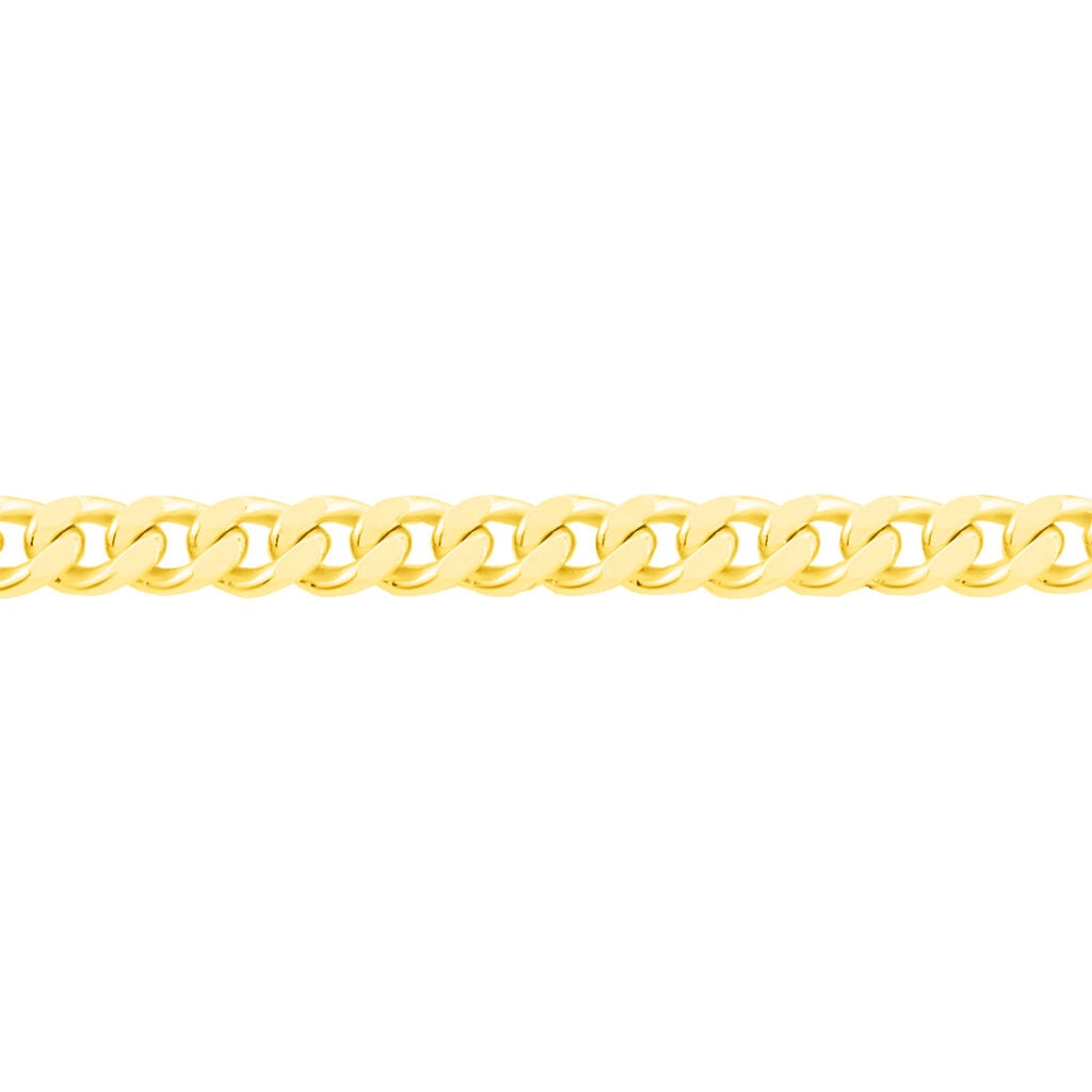 🦚 PANZER 3 Unisex Kette Gold 375 (9 Karat) B 1,7 mm, Kette ohne Stein