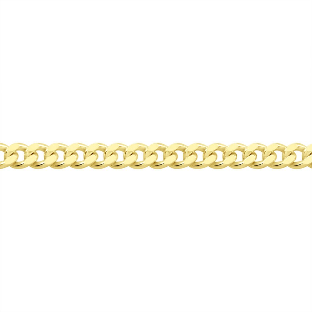 🦚 PANZER 2 Kinder Kette Gold 375 (9 Karat) B 1,4 mm, Kette ohne Stein