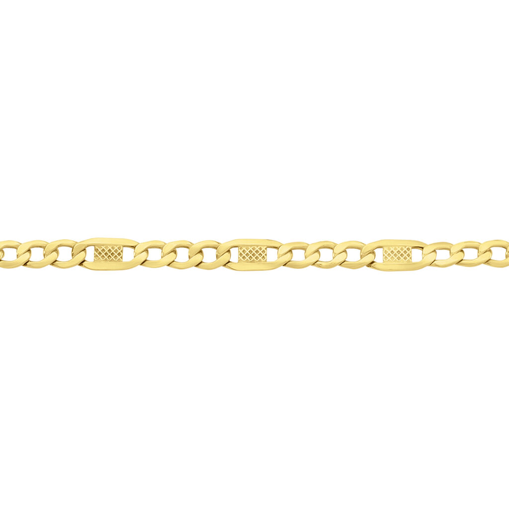 🦚 FIGARO 1/3 Unisex Kette Gold 375 (9 Karat) B 3,5 mm, Kette ohne Stein