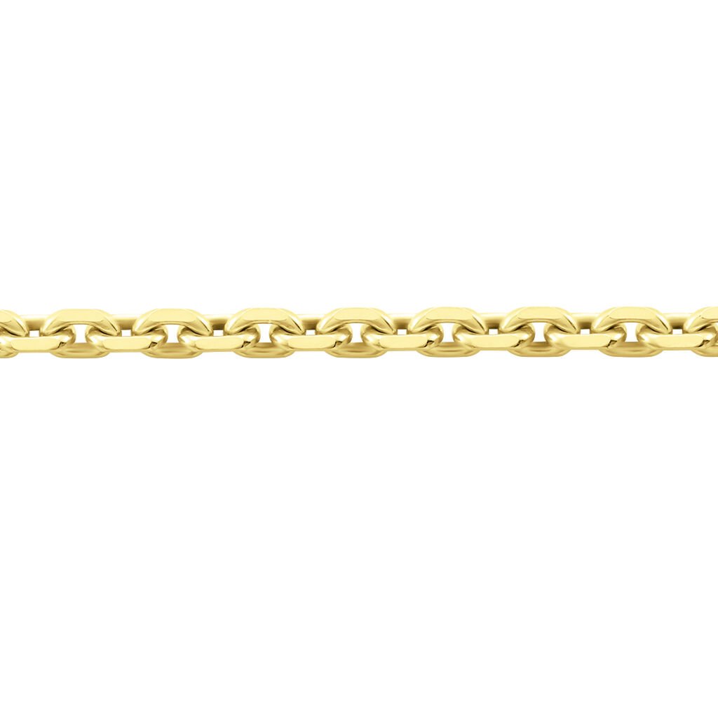 🦚 ANKER DIA. 8 Unisex Kette Gold 375 (9 Karat) B 1,9 mm, Kette ohne Stein