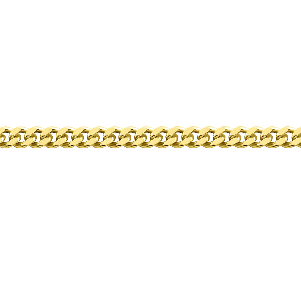 🦚 PANZER 4 Unisex Kette Gold 375 (9 Karat) B 2,1 mm, Kette ohne Stein