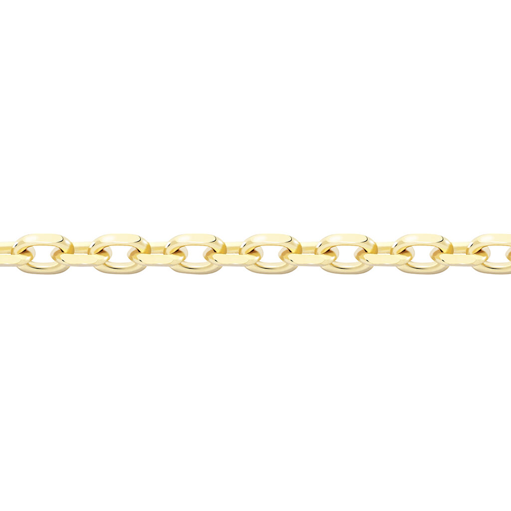🦚 ANKER DIA. 3 Unisex Kette Gold 375 (9 Karat) B 1,25 mm, Kette ohne Stein