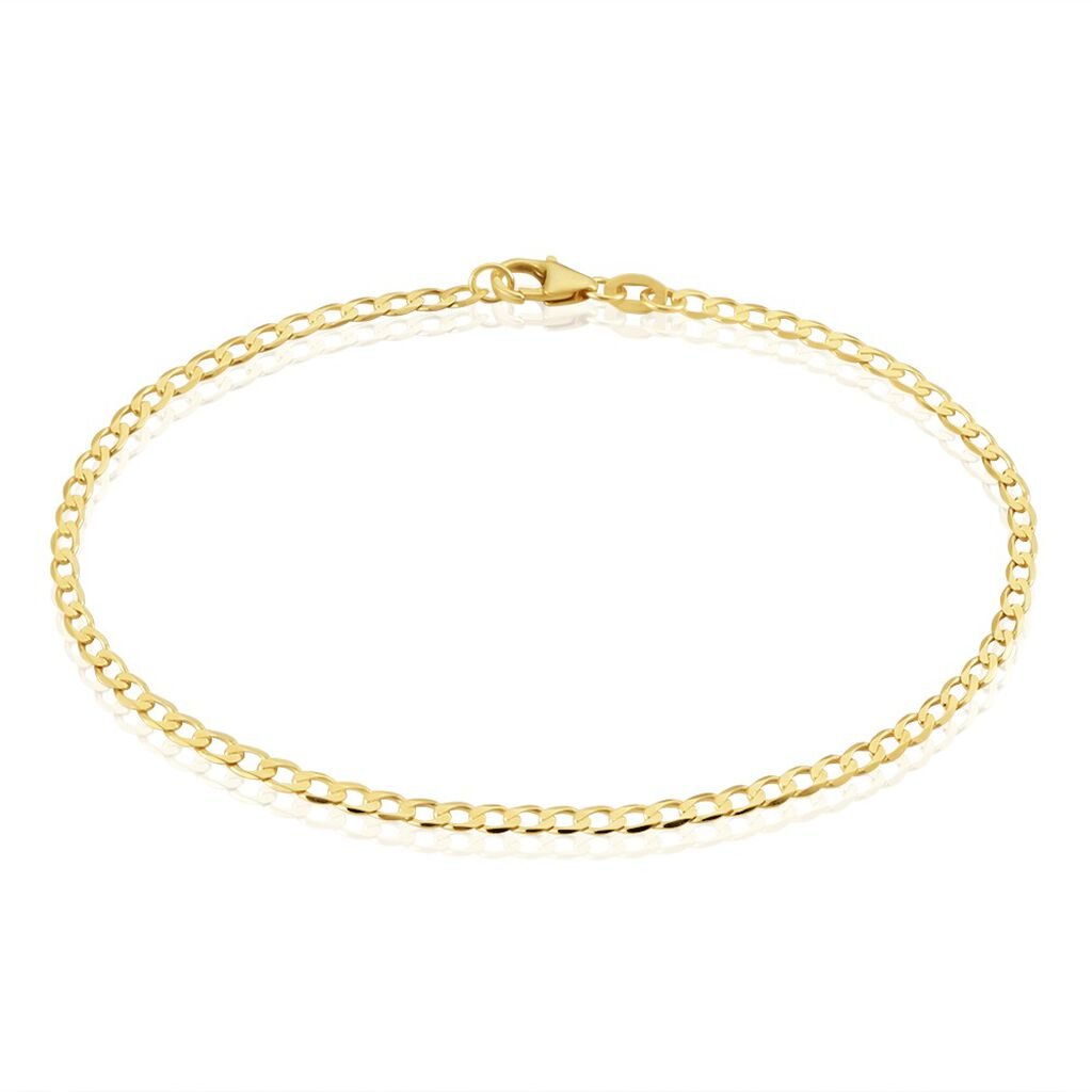 🦚 PANZER 8 Unisex Armkette Gold 375 (9 Karat) B 2,6 mm, Armkette ohne Stein