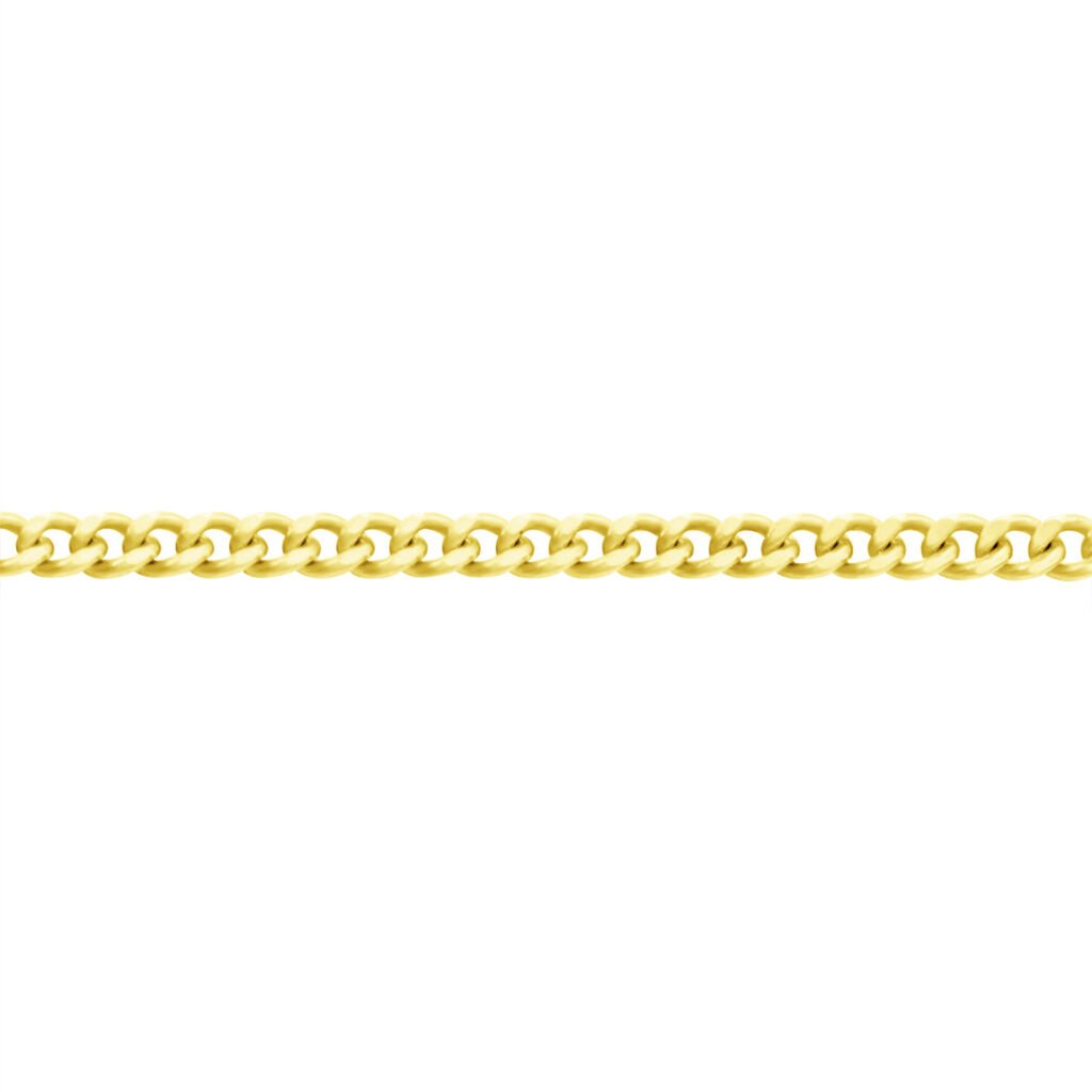 🦚 PANZER 1B Damen Kette Gold 375 (9 Karat) B 1,1 mm, Kette ohne Stein