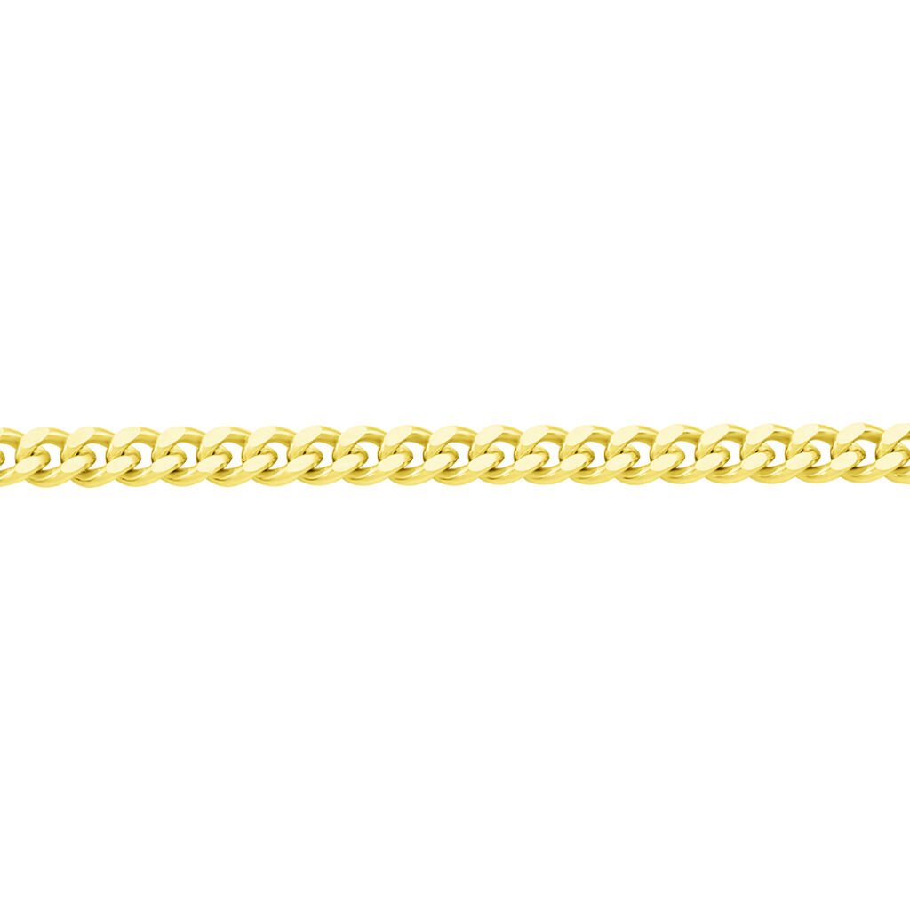 🦚 PANZER 4 Unisex Kette Gold 375 (9 Karat) B 2,1 mm, Kette ohne Stein
