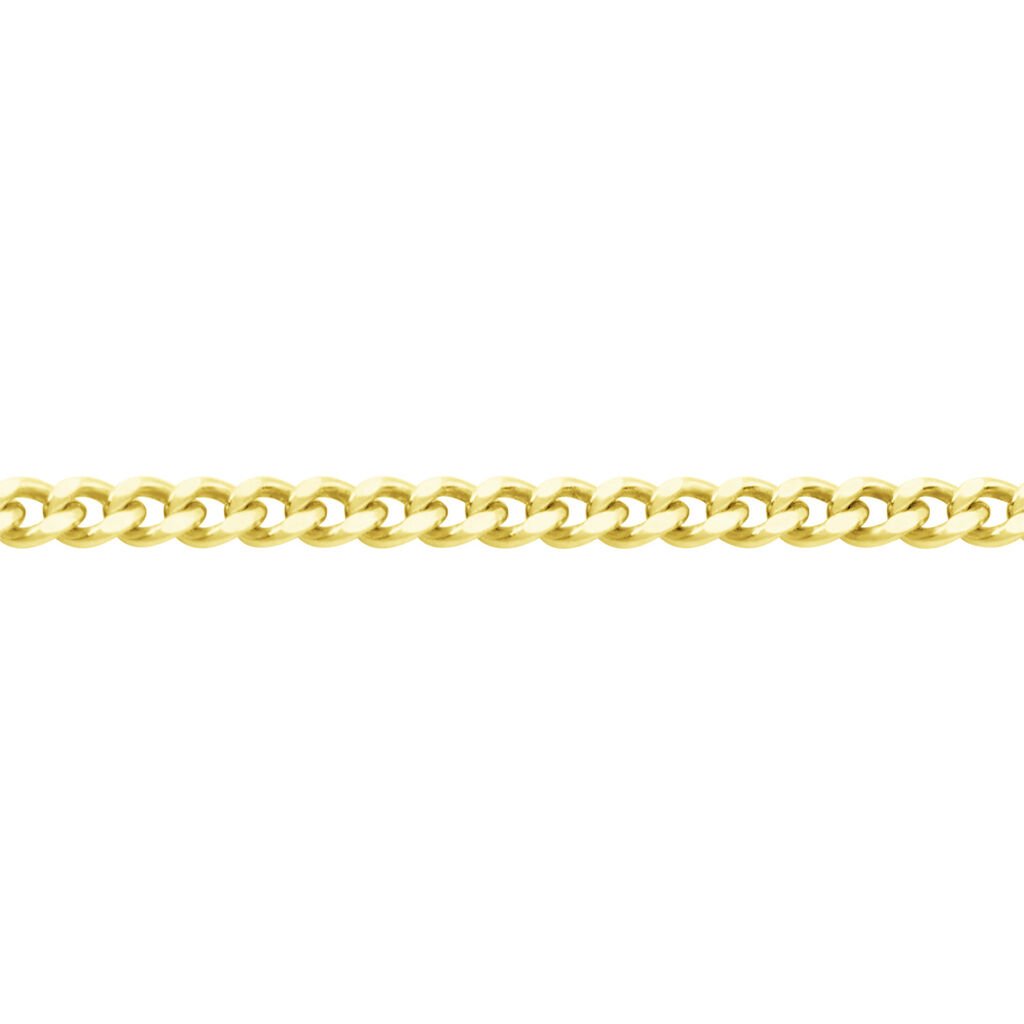 🦚 PANZER 2 Unisex Kette Gold 375 (9 Karat) B 1,4 mm, Kette ohne Stein