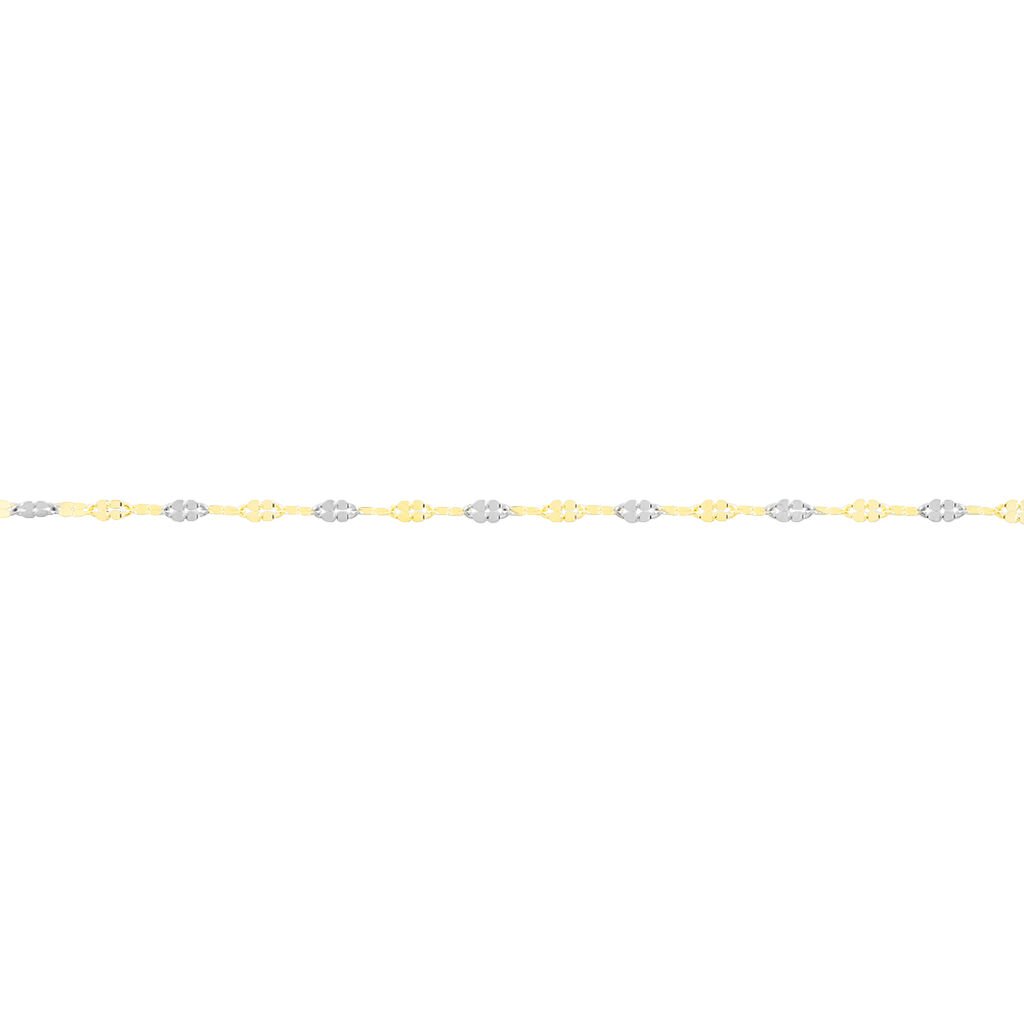 🦚 TIGERAUGE Damen Kette Gold Bicolor 375 (9 Karat), Kette ohne Stein