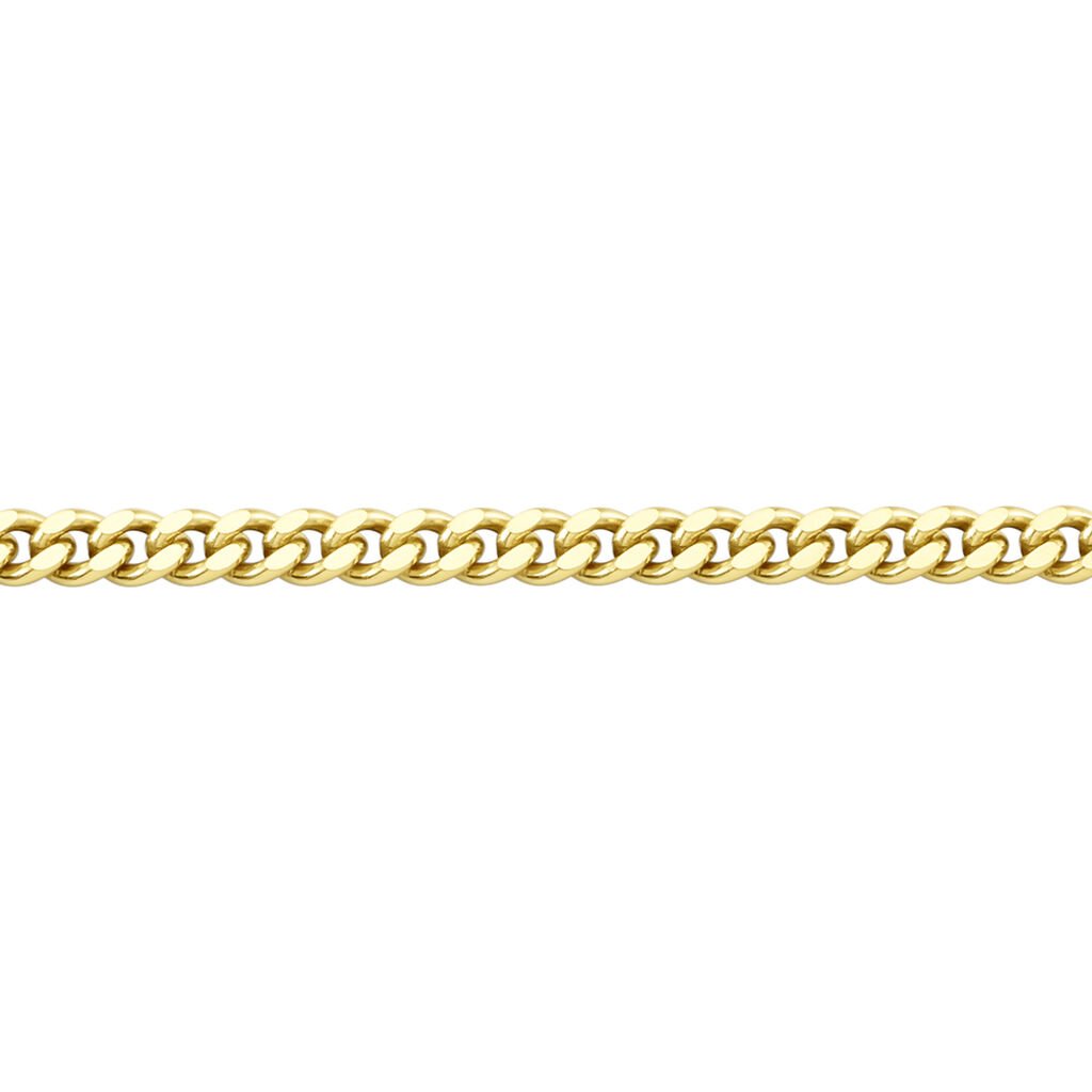 🦚 PANZER 4 Unisex Kette Gold 375 (9 Karat) B 2,1 mm, Kette ohne Stein