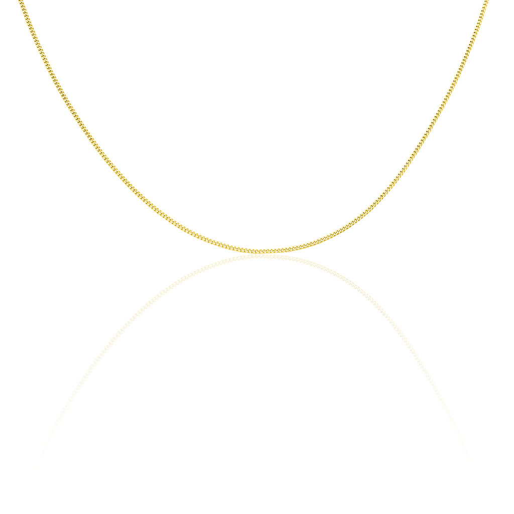 🦚 PANZER Herren Kette Gold 585 (14 Karat) B 1,4 mm, Kette ohne Stein