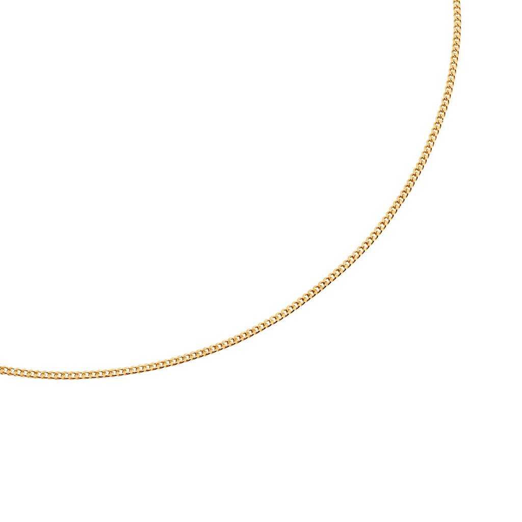🦚 Unisex Kette Gold 585 (14 Karat), Kette ohne Stein