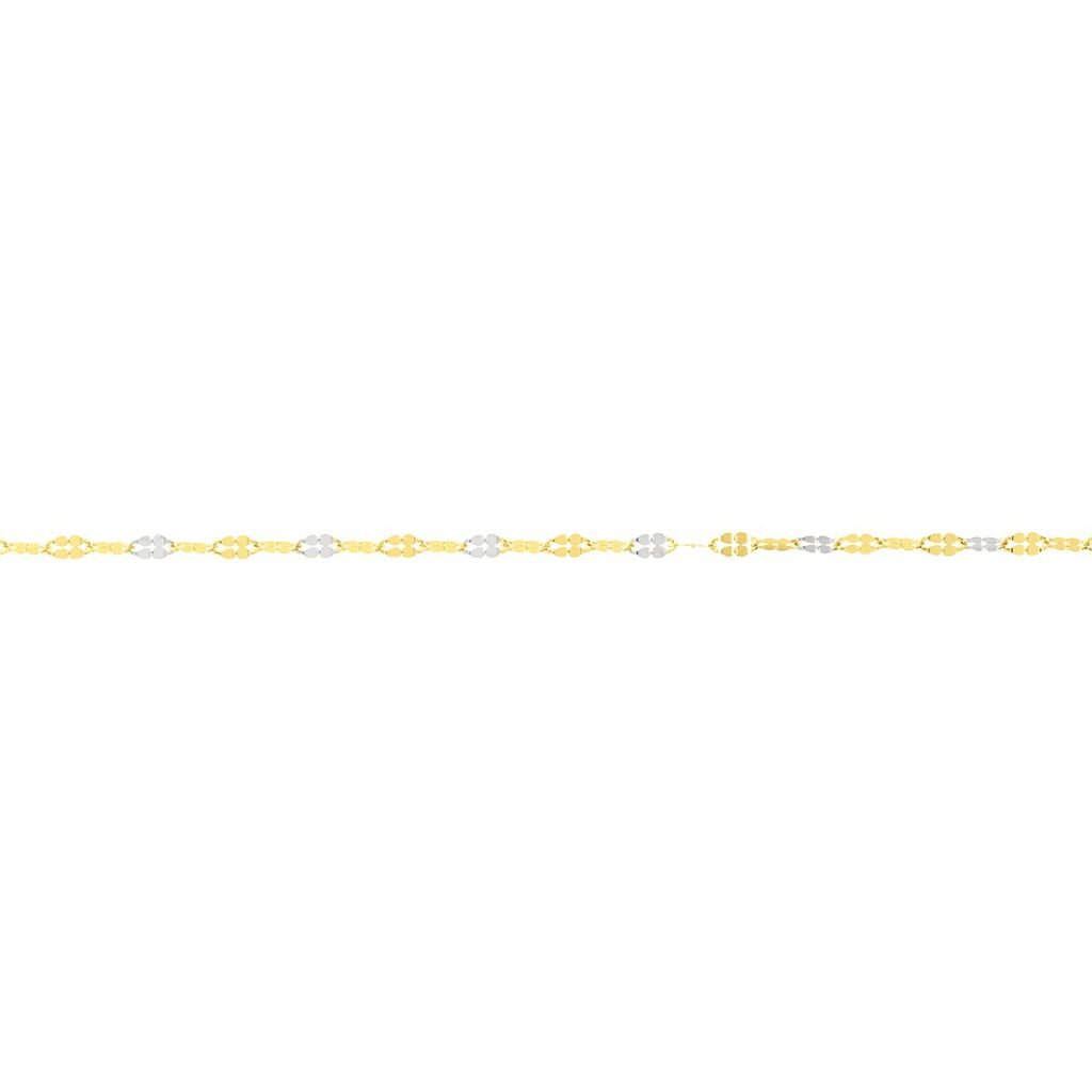 🦚 TIGERAUGE Damen Kette Gold Bicolor 375 (9 Karat), Kette ohne Stein