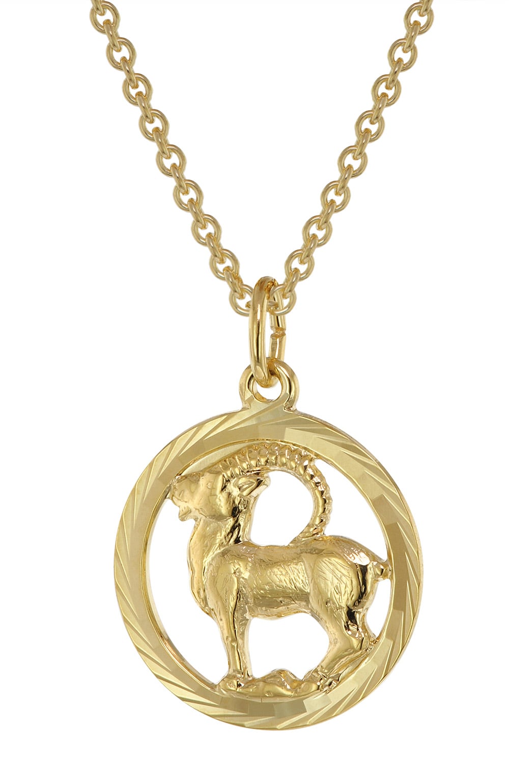 trendor 75940-01 Sternzeichen Steinbock Gold 333 Anhänger Ø 16 mm + Halskette