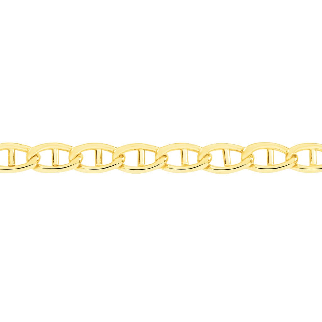 🦚 STEGPANZER Damen Kette Gold 375 (9 Karat) B 2 mm, Kette ohne Stein