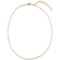 Esprit Edelstahlkette ESPRIT Damen-Kette Edelstahl Süßwasserperle gelb|goldfarben Unkategorisiert online kaufen