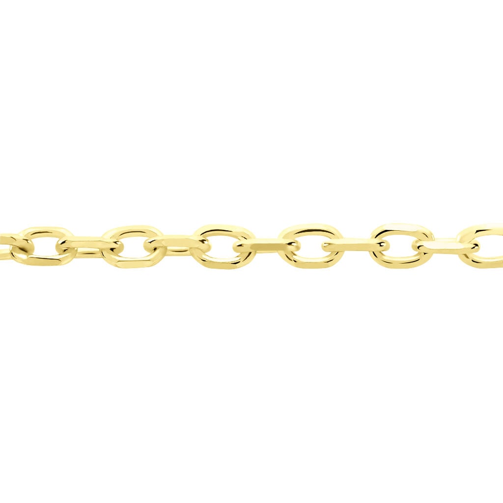 🦚 Damen Ankerkette Gold 375 Diamantiert , Kette ohne Stein Unkategorisiert online kaufen