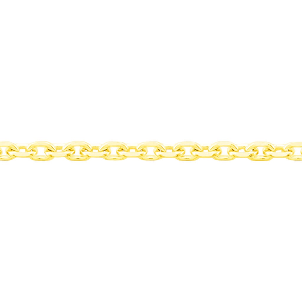 🦚 Damen Ankerkette Gold 585 Diamantiert , Kette ohne Stein Unkategorisiert online kaufen